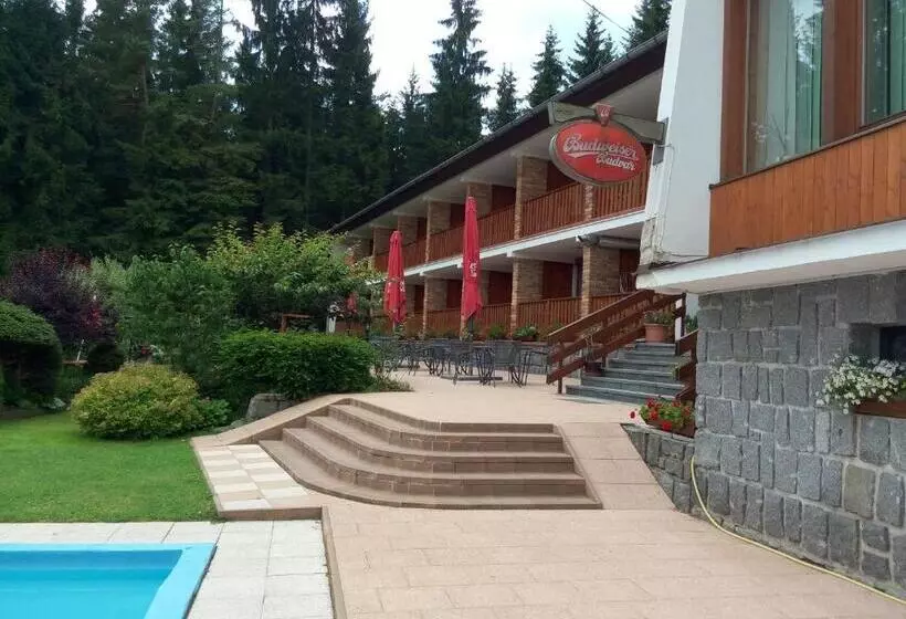 Lesní Pension