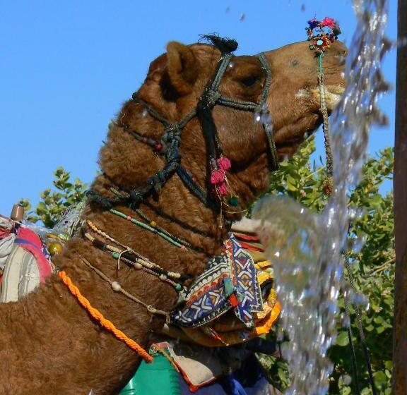 Pensionat Ganesh Guest House