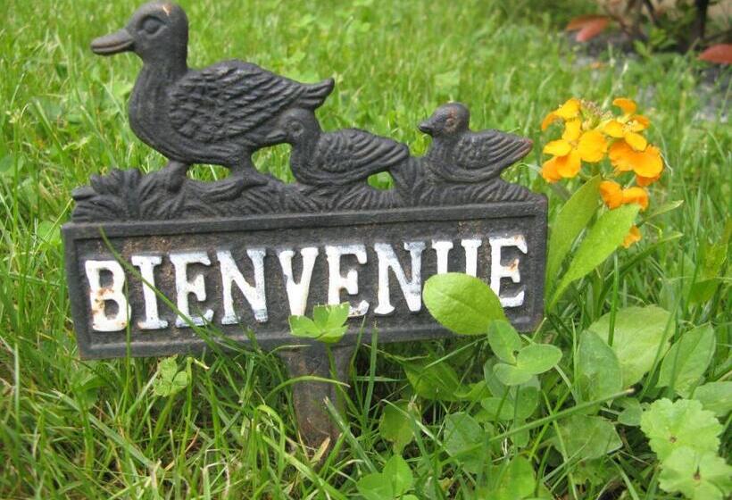 Bed and Breakfast Les Chambres De L Ile