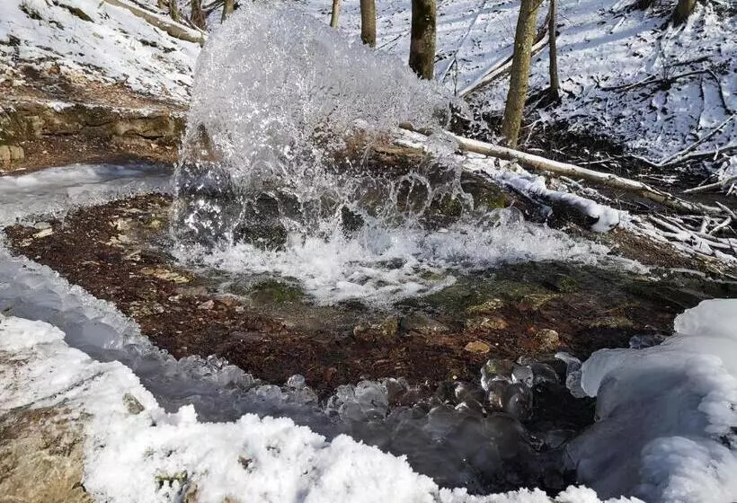 Majatalo Nyitott Kapu Vendégház