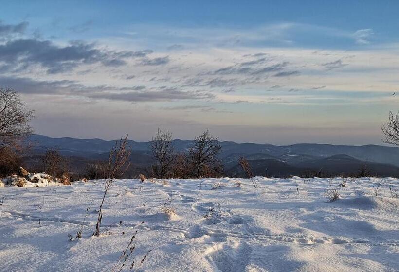 פנסיון Nyitott Kapu Vendégház