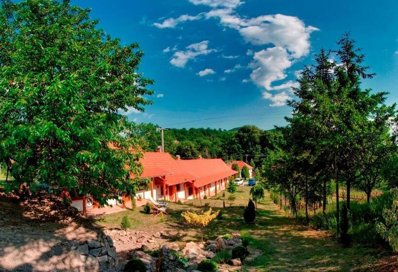 פנסיון Nyitott Kapu Vendégház