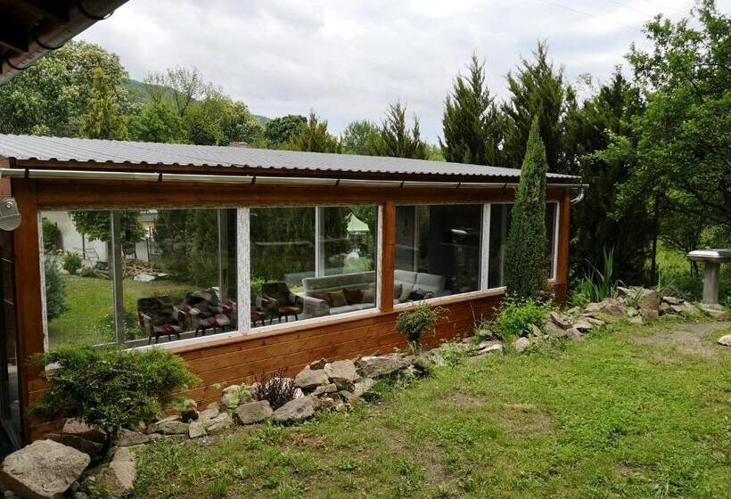 פנסיון Nyitott Kapu Vendégház