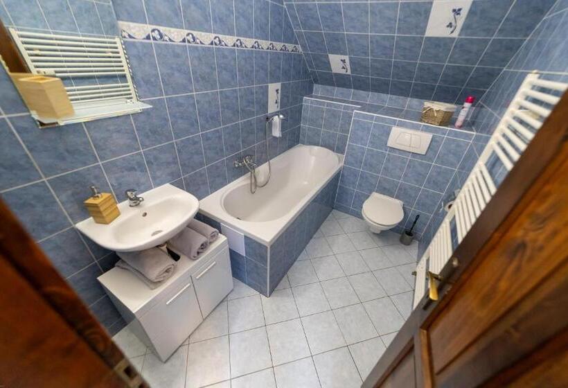 Pensiune Penzion Bludička