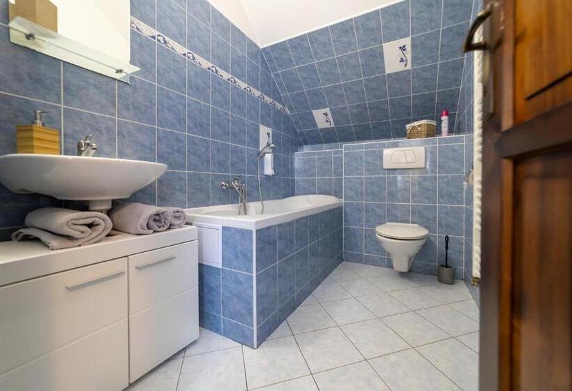 Pensiune Penzion Bludička