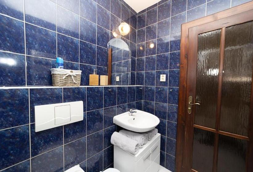 Pensiune Penzion Bludička