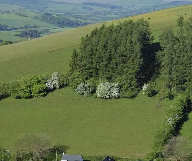 Gilfach Farm Holiday Accommodation