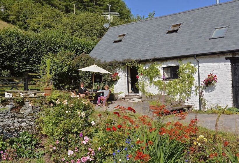 Gilfach Farm Holiday Accommodation