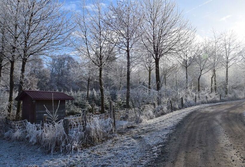 בית מלון כפרי Gasthof Bergfriede