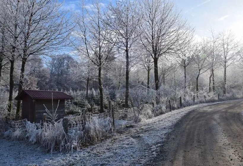 Hotelli Gasthof Bergfriede