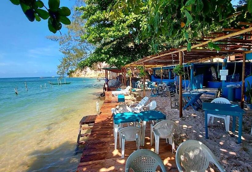 Общежитие Monkey Beach Agroturismo