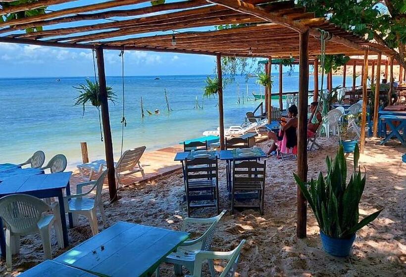 Общежитие Monkey Beach Agroturismo