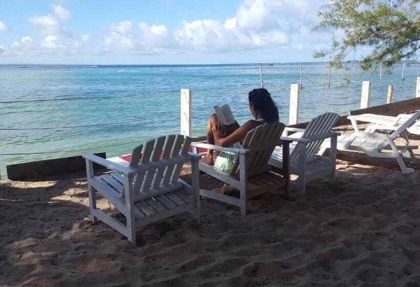 Общежитие Monkey Beach Agroturismo