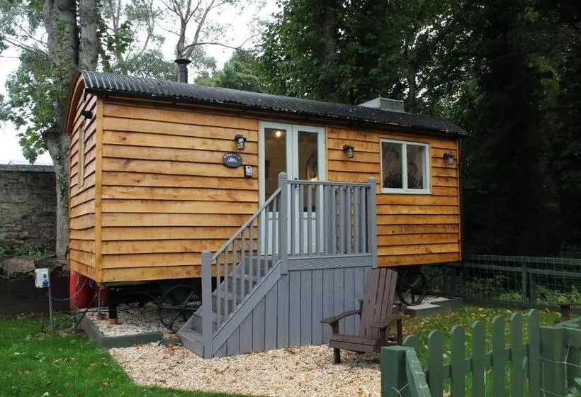 Hostel The Apple Inn