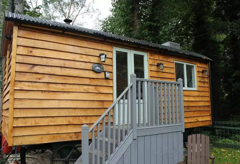 Hostel The Apple Inn