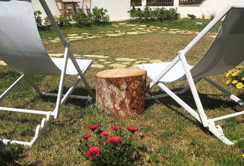 ベッドアンドブレックファースト Stagnone Area Zero