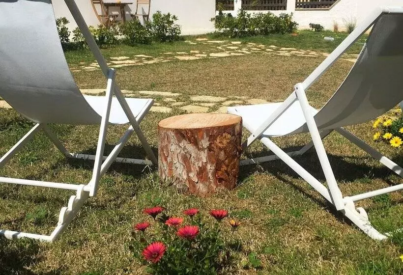 Aamiaismajoitus (B&B) Stagnone Area Zero