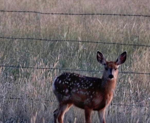 Fish Creek House Bed & Breakfast