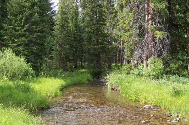 Fish Creek House Bed & Breakfast