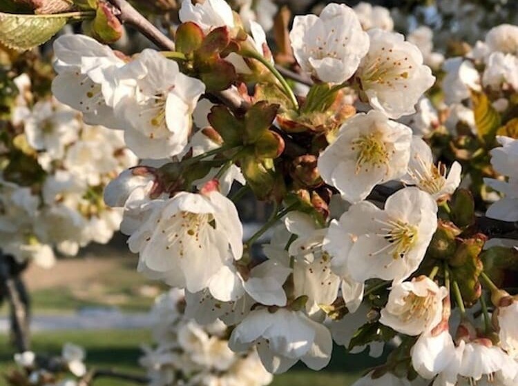 Hotel Storgården I Rimforsa