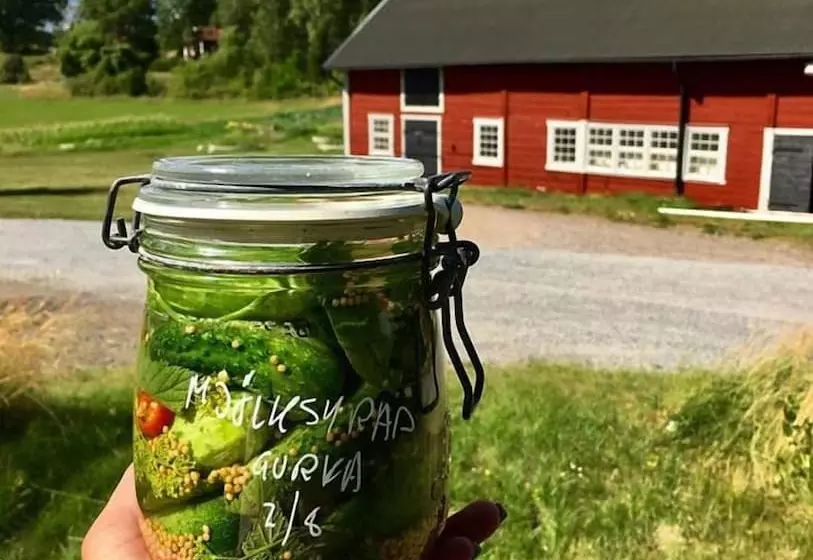 ホテル Storgården I Rimforsa