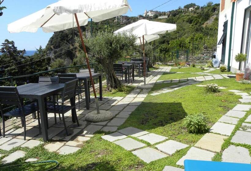 Bed and Breakfast Corte Del Gallo