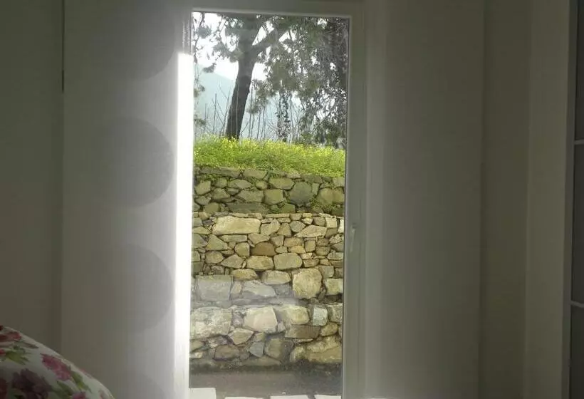 Aamiaismajoitus (B&B) Corte Del Gallo