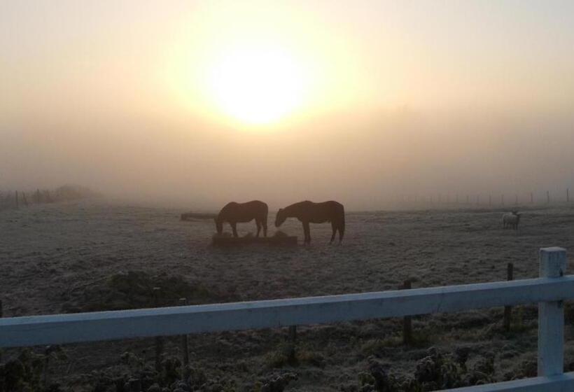 مبيت وإفطار La Gaucherie Aux Dames