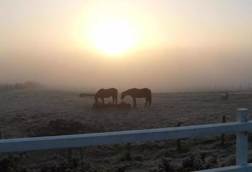 ベッドアンドブレックファースト La Gaucherie Aux Dames