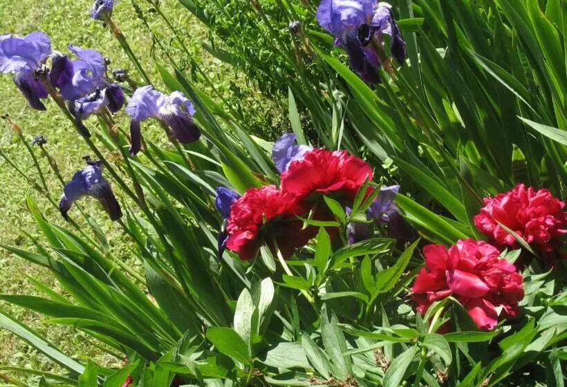 Aamiaismajoitus (B&B) Les Jardins De La Grange