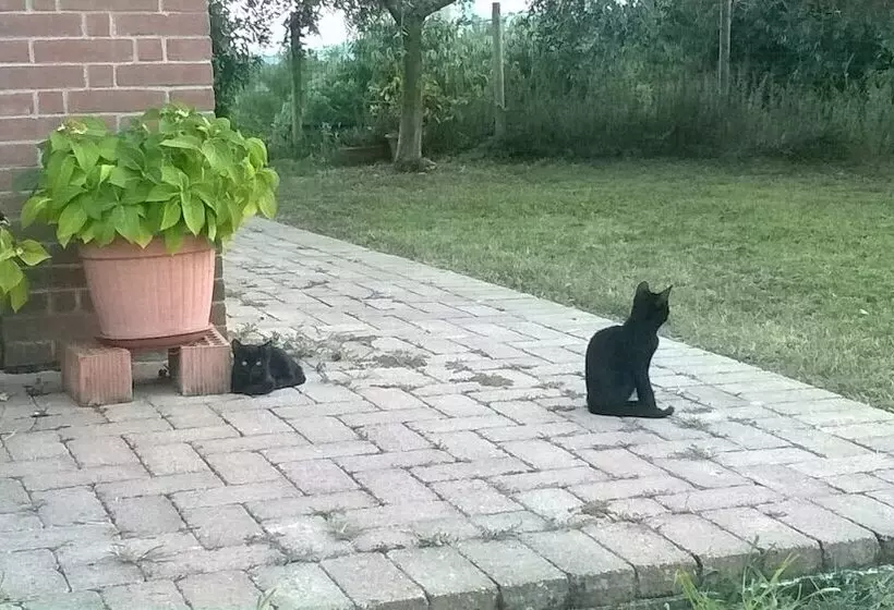 Hotelli Agritur Le Sigalette