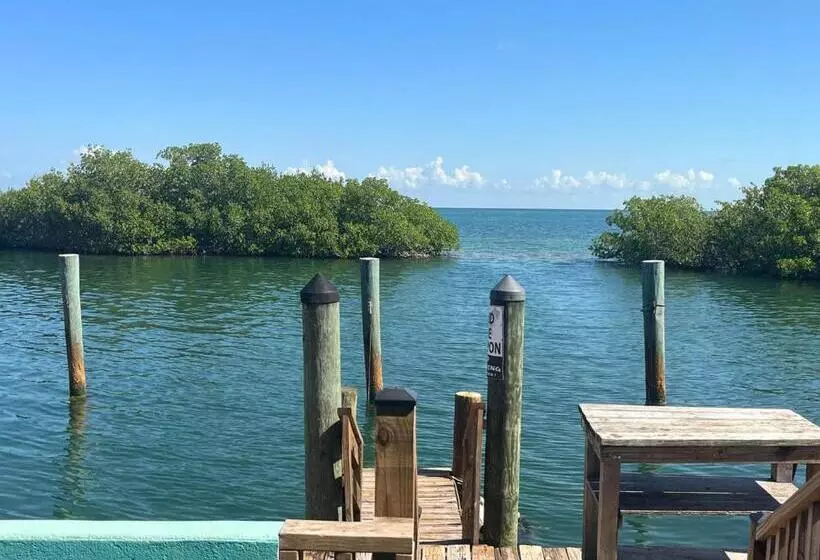 Hotelli Conch Key Fishing Lodge & Marina