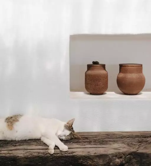 ホテル Cucumbi