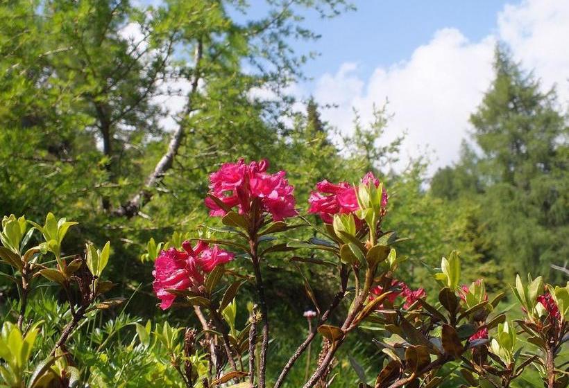 Das Kleine Familienhotel Koch