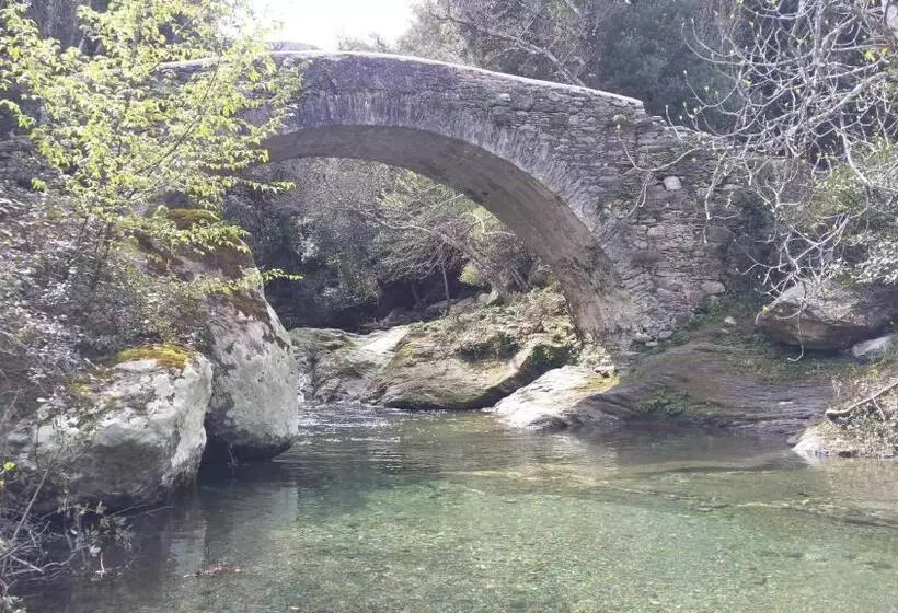 Hotel Hôtel Restaurant Les Chasseurs