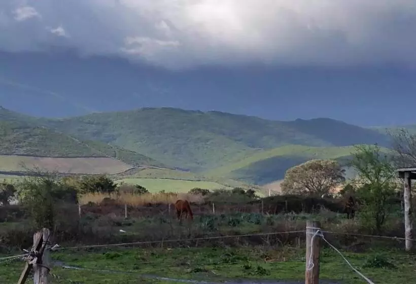Hotel Hôtel Restaurant Les Chasseurs