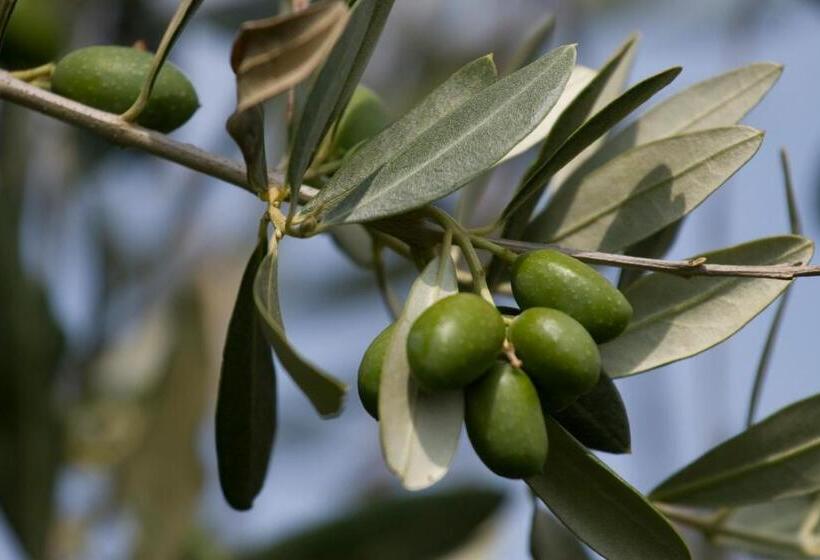 Отель Sant'antonio