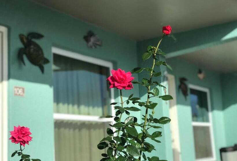 فندق على الطريق Immokalee Inn