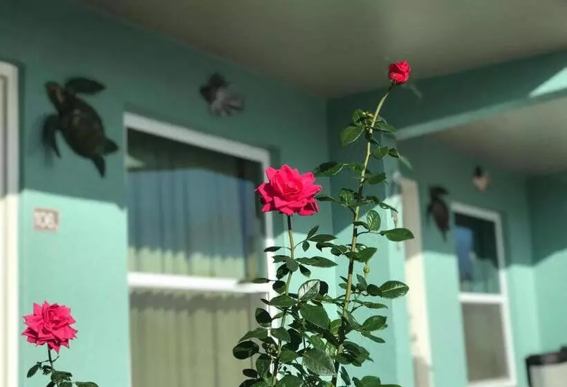 Motelli Immokalee Inn