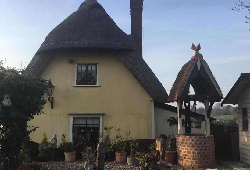 פנסיון Ivy Todd Cottage