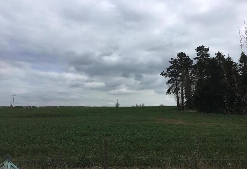 פנסיון Ivy Todd Cottage