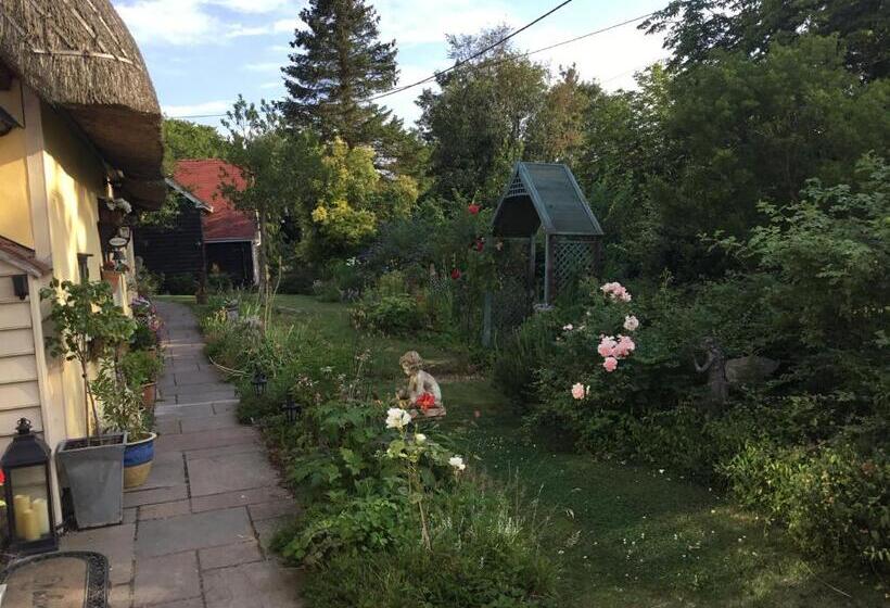 פנסיון Ivy Todd Cottage