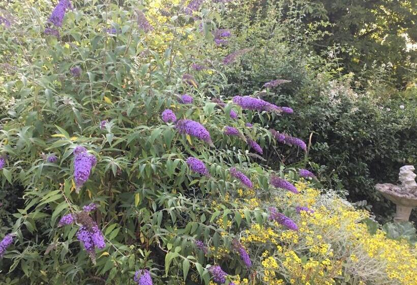 פנסיון Ivy Todd Cottage