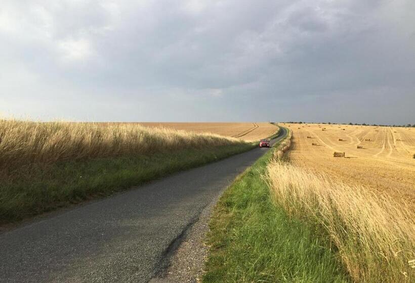 פנסיון Ivy Todd Cottage