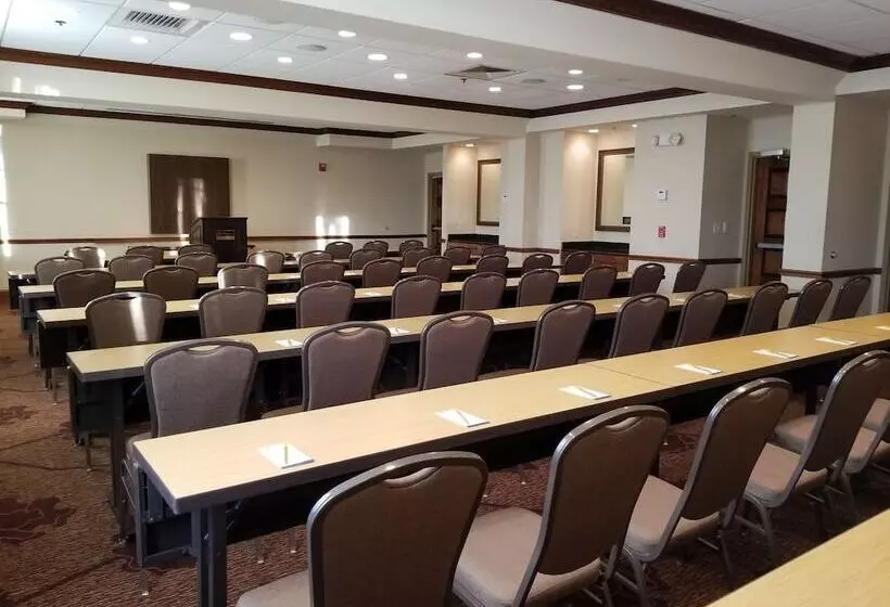 酒店 Hilton Garden Inn San Antonio Airport