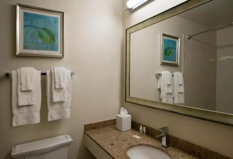 فندق Cirque St. Armands Beachside