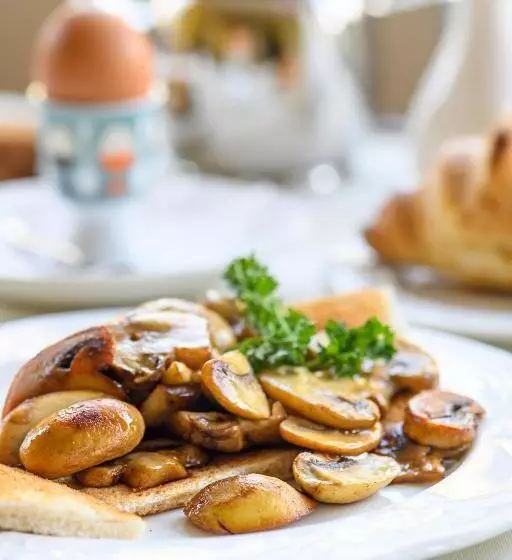 فندق Killarney Lodge