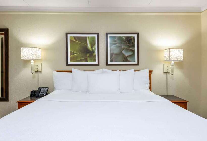 בית מלון כפרי La Quinta East Deerfield Beach Boca Raton