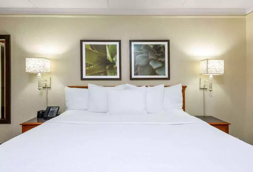 בית מלון כפרי La Quinta East Deerfield Beach   Boca Raton