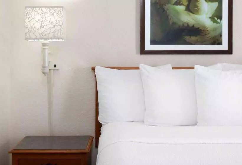 בית מלון כפרי La Quinta East Deerfield Beach   Boca Raton